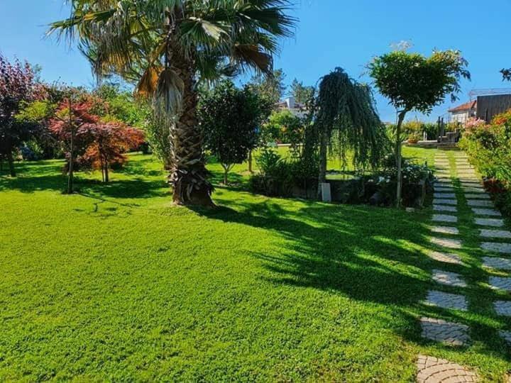 Villa Casa Brandao Póvoa de Varzim Exteriér fotografie